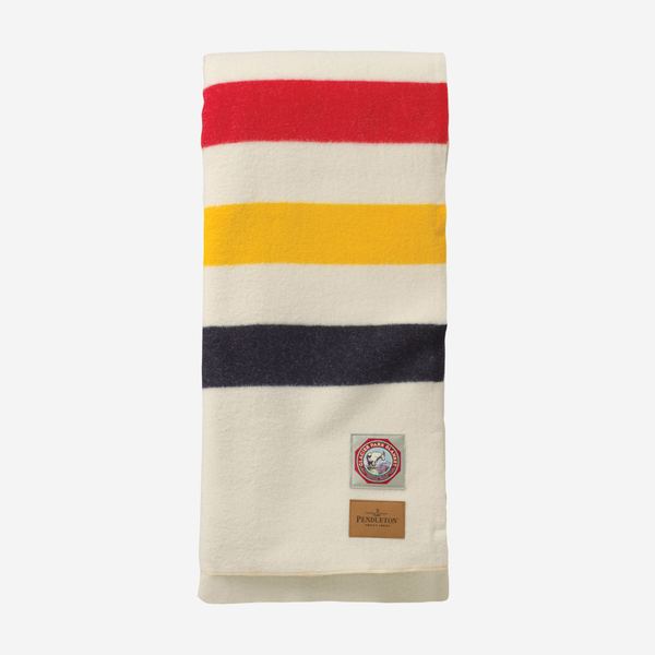 Pendleton National Park Twin Blanket - Glacier