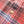 Load image into Gallery viewer, Wythe Washed Flannel Workshirt - Cactus Flower Plaid
