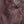 Load image into Gallery viewer, Wythe Leather Buckaroo Jacket - Brown
