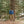 Load image into Gallery viewer, Big Rock Candy Mountaineering Alpine Jacket - Blue Corn
