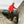 Load image into Gallery viewer, Big Rock Candy Mountaineering Tuloumne Jacket - Strawberry
