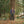 Load image into Gallery viewer, Big Rock Candy Mountaineering Bridalveil Jacket - Blackberry
