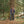 Load image into Gallery viewer, Big Rock Candy Mountaineering Bridalveil Jacket - Blackberry
