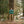 Load image into Gallery viewer, Big Rock Candy Mountaineering Alpine Jacket - Pickle
