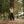 Load image into Gallery viewer, Big Rock Candy Mountaineering Alpine Jacket - Mango
