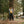 Load image into Gallery viewer, Big Rock Candy Mountaineering Arctic Parka - Cappuccino
