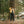 Load image into Gallery viewer, Big Rock Candy Mountaineering Alpine Jacket - Mango

