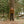 Load image into Gallery viewer, Big Rock Candy Mountaineering Delago Sweater - Coffee
