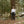 Load image into Gallery viewer, Big Rock Candy Mountaineering Sawtooth Long Sleeve Tee - Milk
