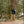Load image into Gallery viewer, Big Rock Candy Mountaineering Tuloumne Jacket - Blackberry
