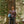 Load image into Gallery viewer, Big Rock Candy Mountaineering Metanoia Beanie - Broccoli
