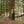 Load image into Gallery viewer, Big Rock Candy Mountaineering Bridalveil Jacket - Persimmon
