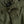 Charger l&#39;image dans la galerie, NEW YORKER PANT - ARMY GREEN
