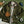 Load image into Gallery viewer, WAXED HUNTING JACKET - OLIVE
