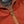 Load image into Gallery viewer, MICRO RIPSTOP ANORAK JACKET - BRICK
