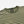Load image into Gallery viewer, VINTAGE FADED STRIPE HALF T-SHIRT - DARK GREEN
