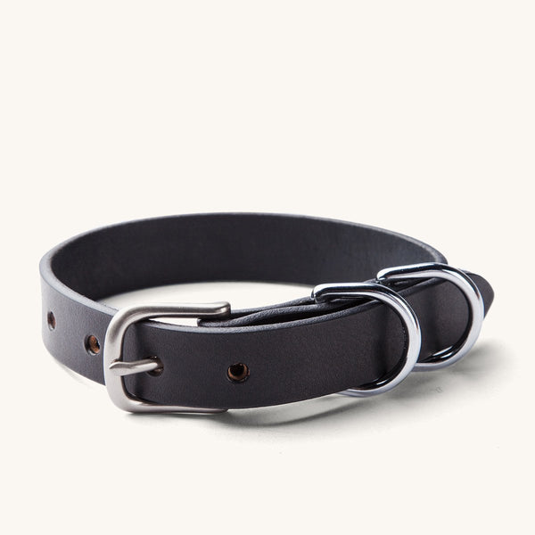 Classic Canine Collar - Black / Steel